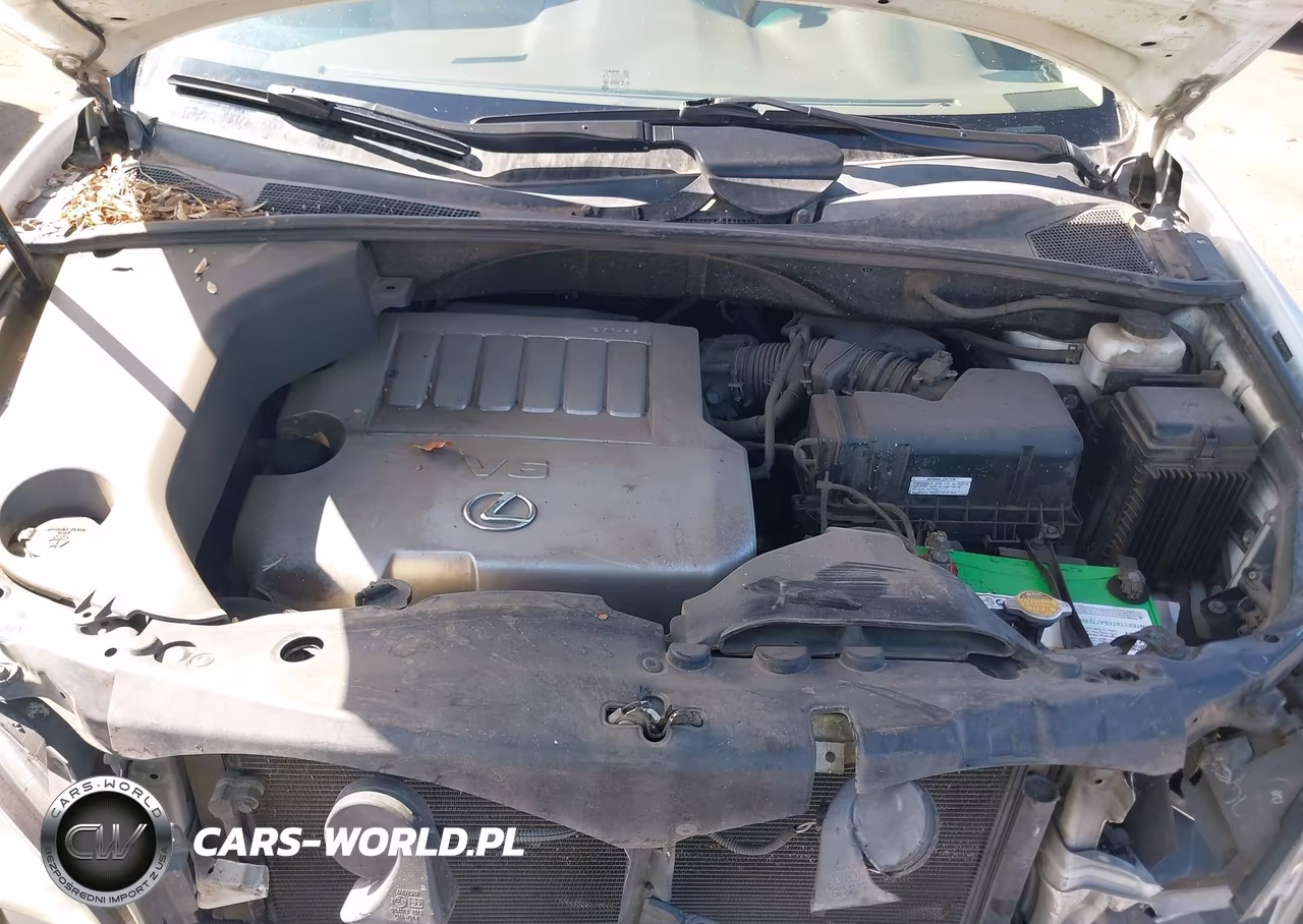 2009 Lexus Rx 350 VIN:2T2HK31U79C127567 - 10