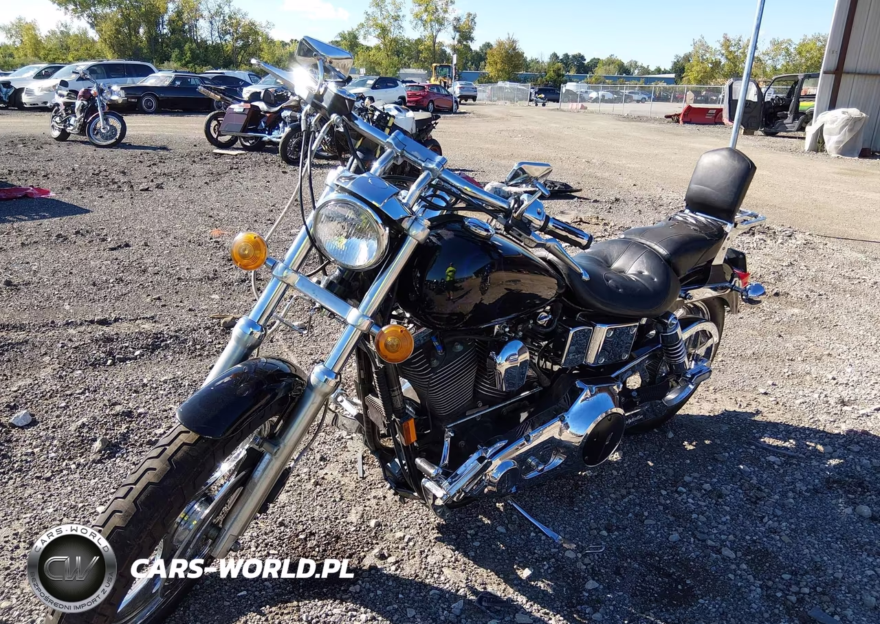 1998 Harley-Davidson Fxdl VIN:1HD1GDL19WY317960 - 2