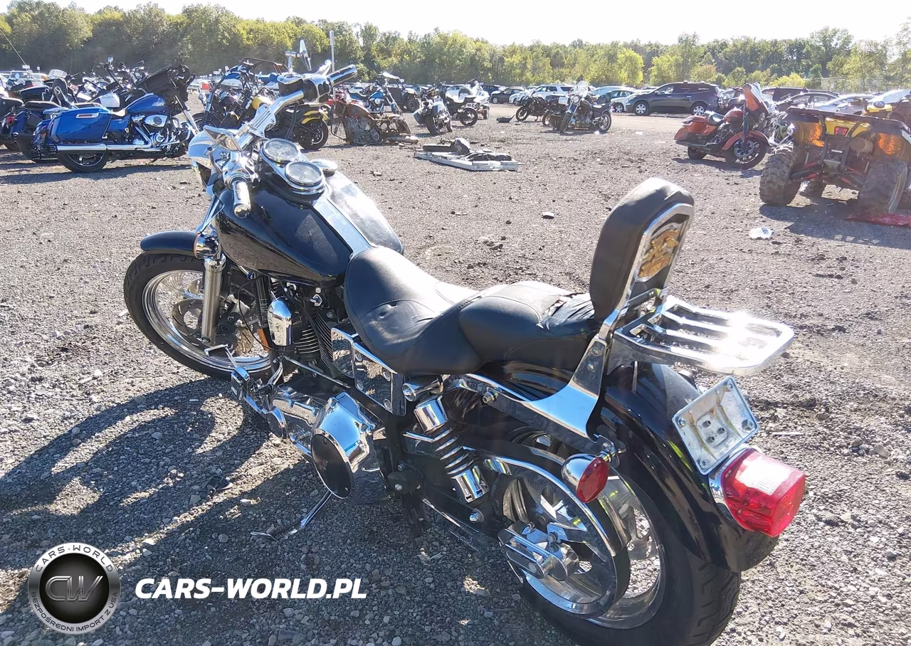1998 Harley-Davidson Fxdl VIN:1HD1GDL19WY317960 - 3