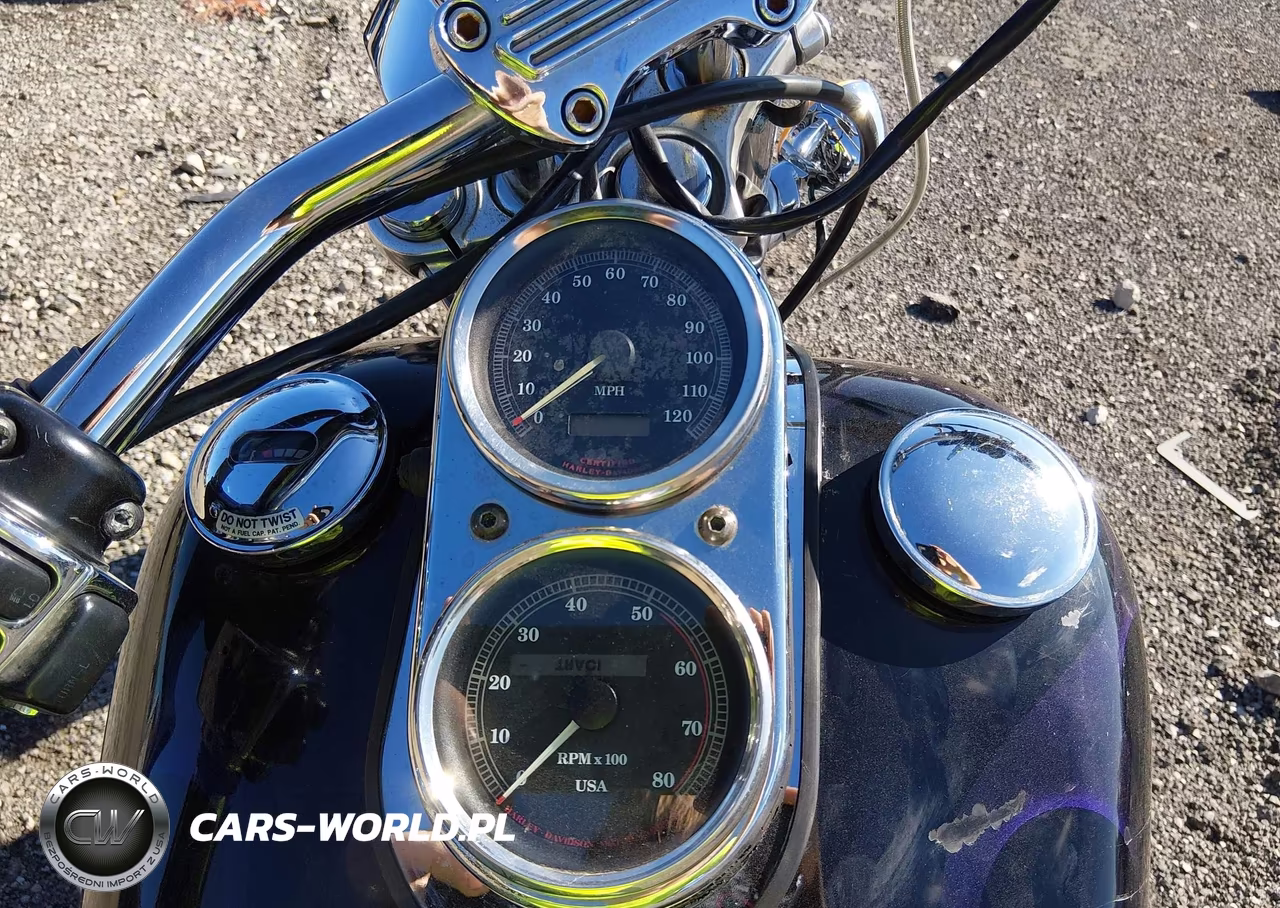 1998 Harley-Davidson Fxdl VIN:1HD1GDL19WY317960 - 7