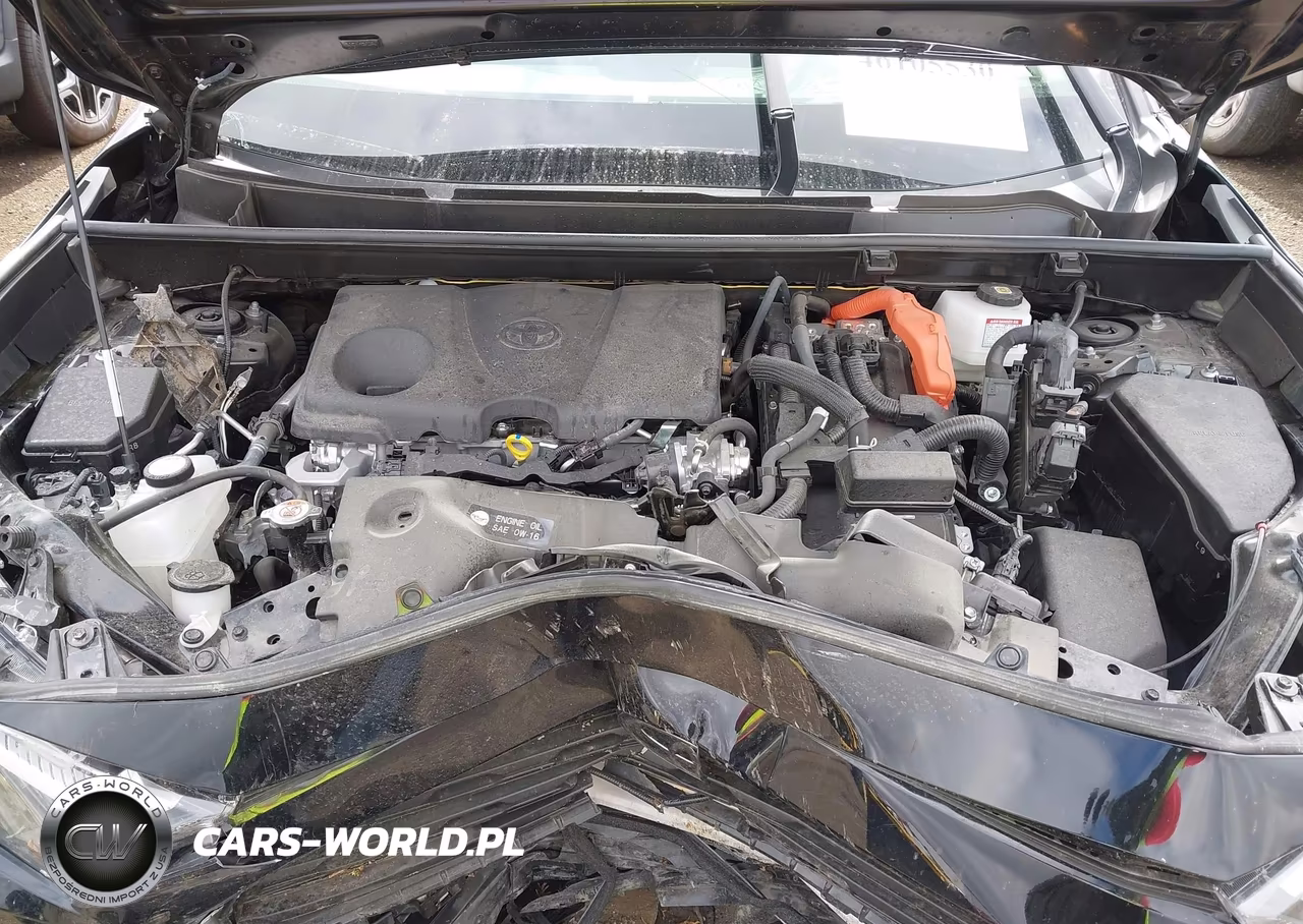 2025 Toyota Rav4 Hybrid Xle VIN:JTMRWRFV7SJ076907 - 10