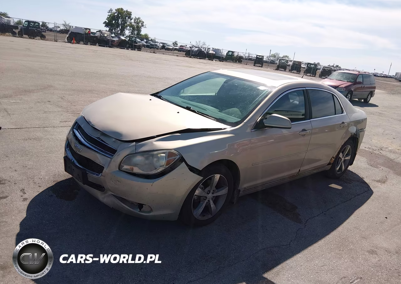 2009 Chevrolet Malibu Lt VIN:1G1ZJ57B69F106061 - 2