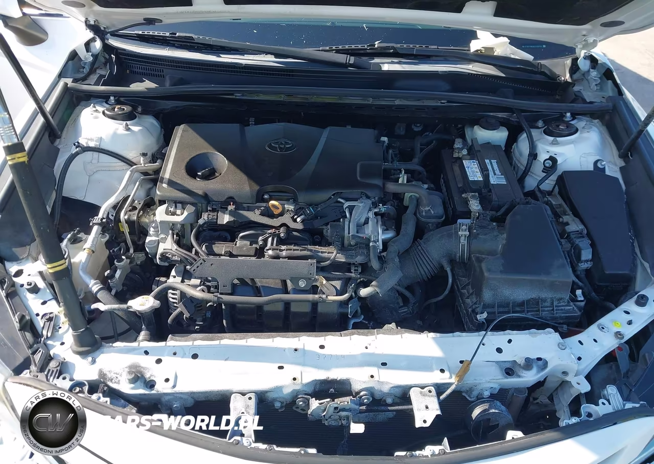 2019 Toyota Camry Se VIN:4T1B11HK0KU169704 - 10