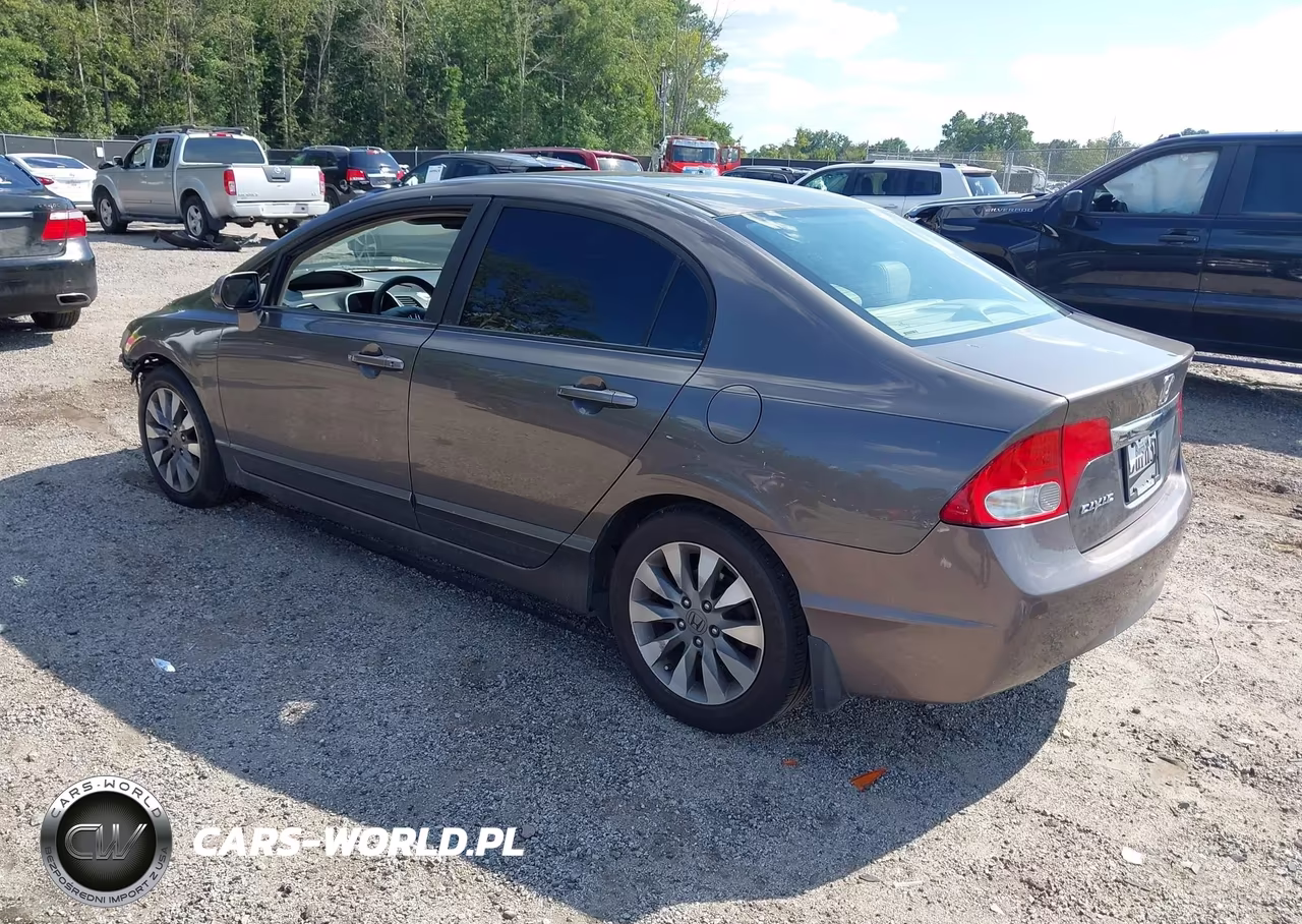 2010 Honda Civic Ex-L VIN:19XFA1F99AE033560 - 3