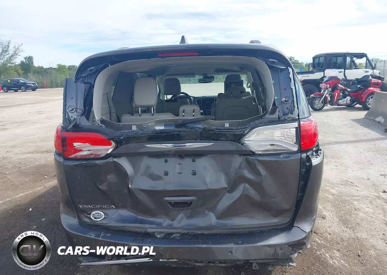2020 Chrysler Pacifica Touring L Plus VIN:2C4RC1EG3LR100582 - 6