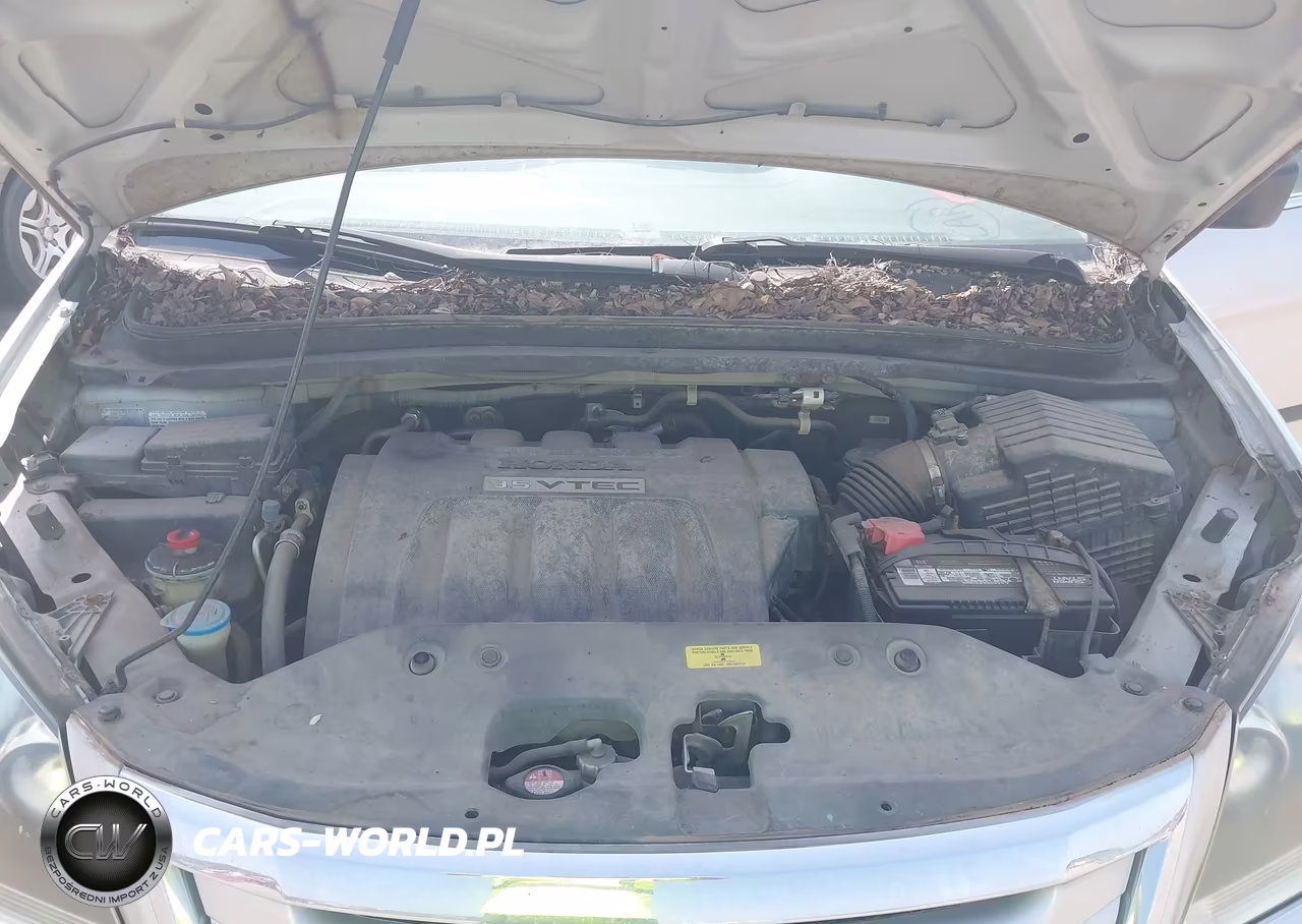 2009 Honda Odyssey Lx VIN:5FNRL38219B052094 - 10