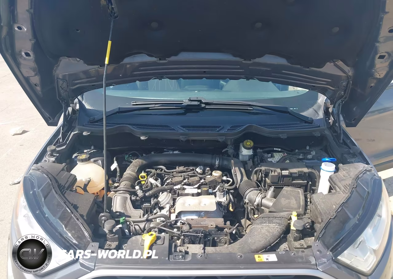 2019 Ford Ecosport Se VIN:MAJ3S2GE4KC271512 - 10