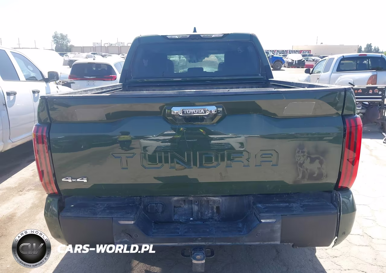 2023 Toyota Tundra Crewmax Limited VIN:5TFJA5DB3PX074864 - 16