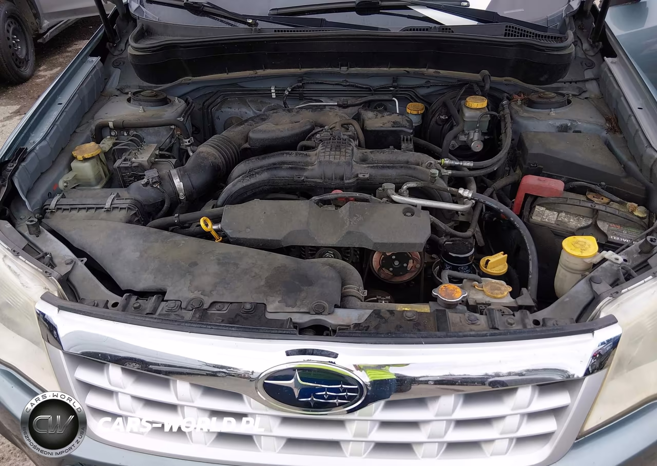 2013 Subaru Forester 2.5X VIN:JF2SHAAC5DG411408 - 10