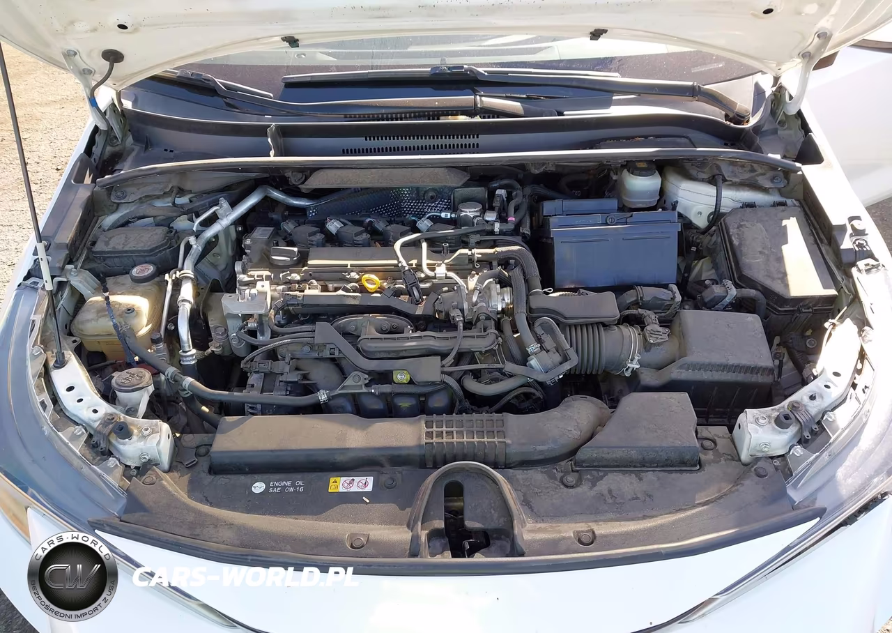 2019 Toyota Corolla Se VIN:JTNK4RBE3K3026289 - 10