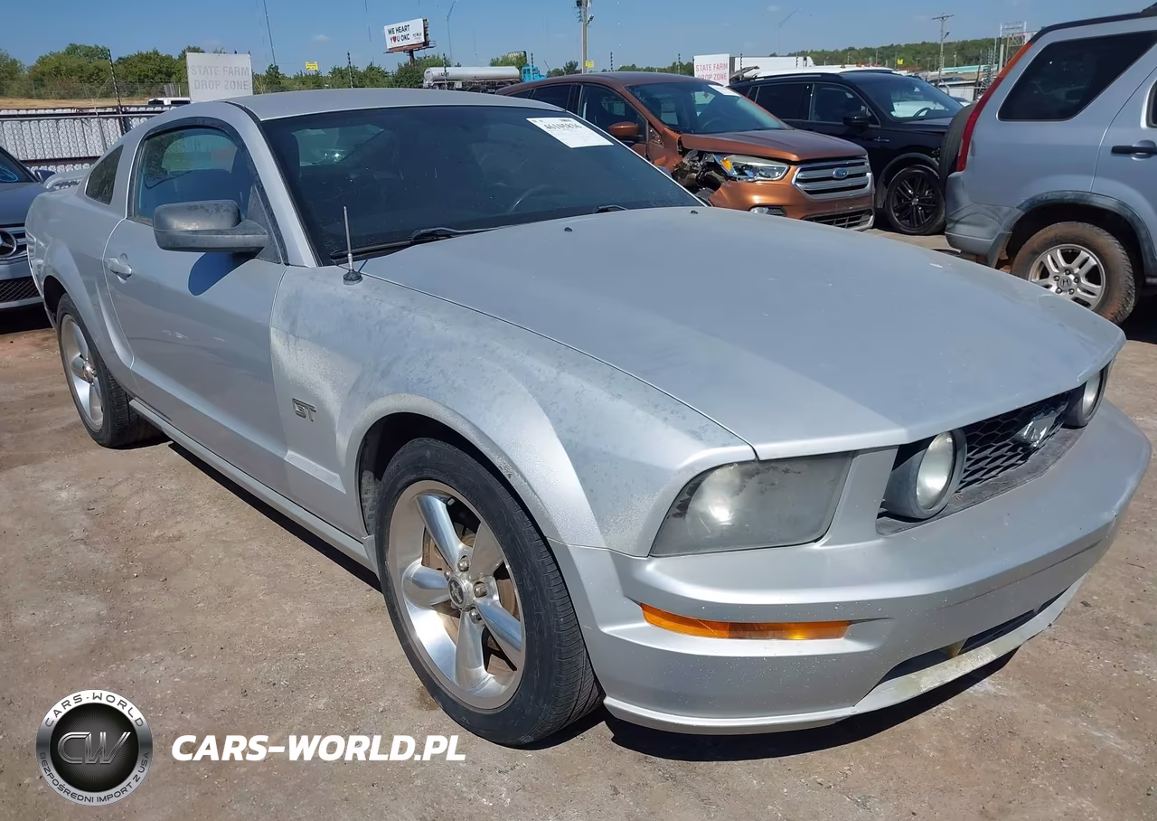 2006 Ford Mustang Gt VIN:1ZVHT82H665248595 - 1