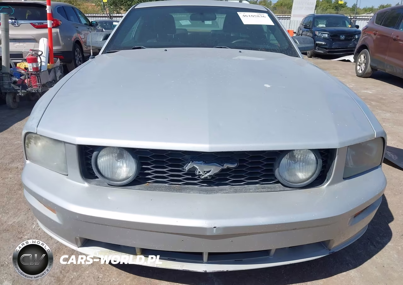 2006 Ford Mustang Gt VIN:1ZVHT82H665248595 - 12