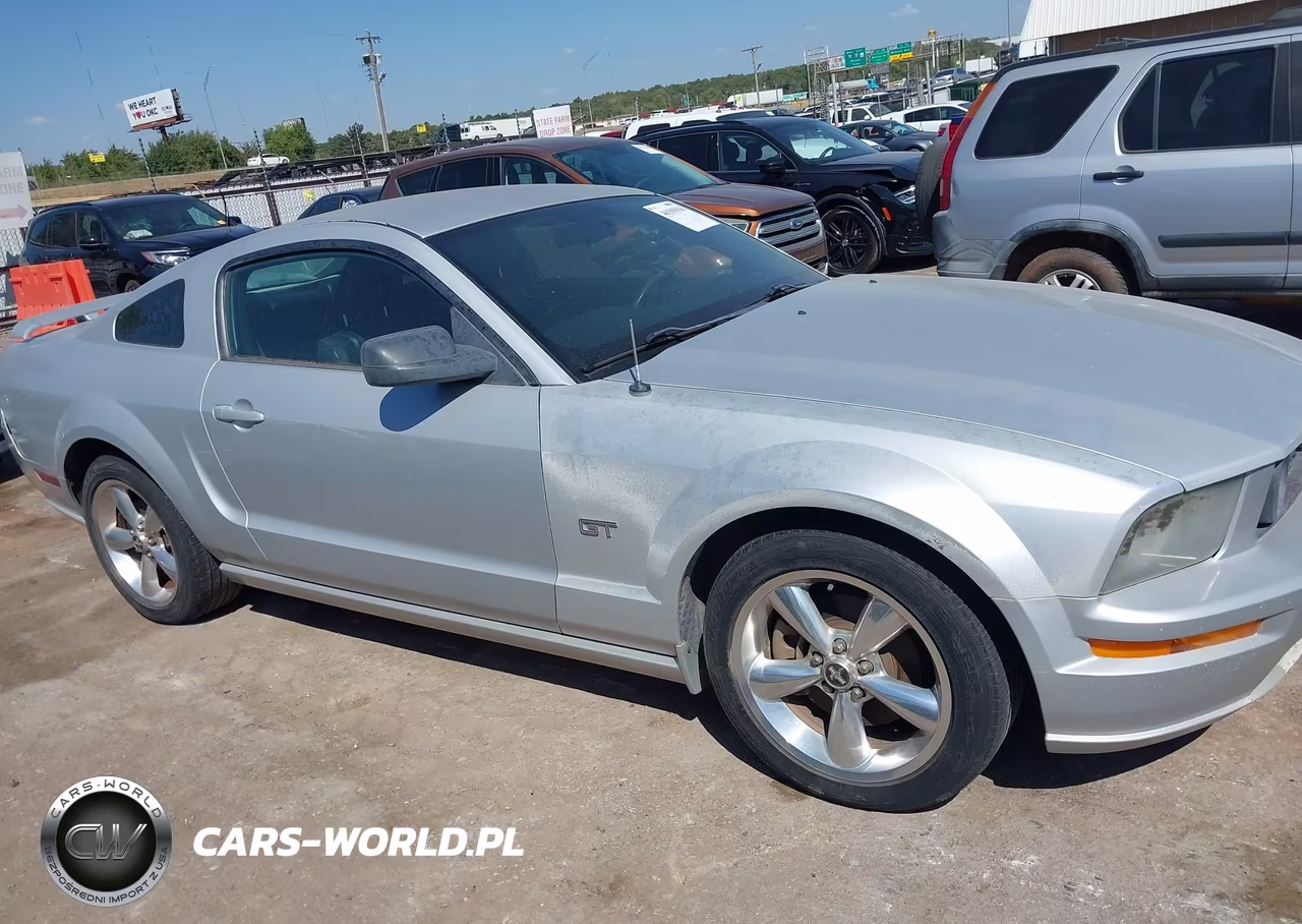 2006 Ford Mustang Gt VIN:1ZVHT82H665248595 - 13