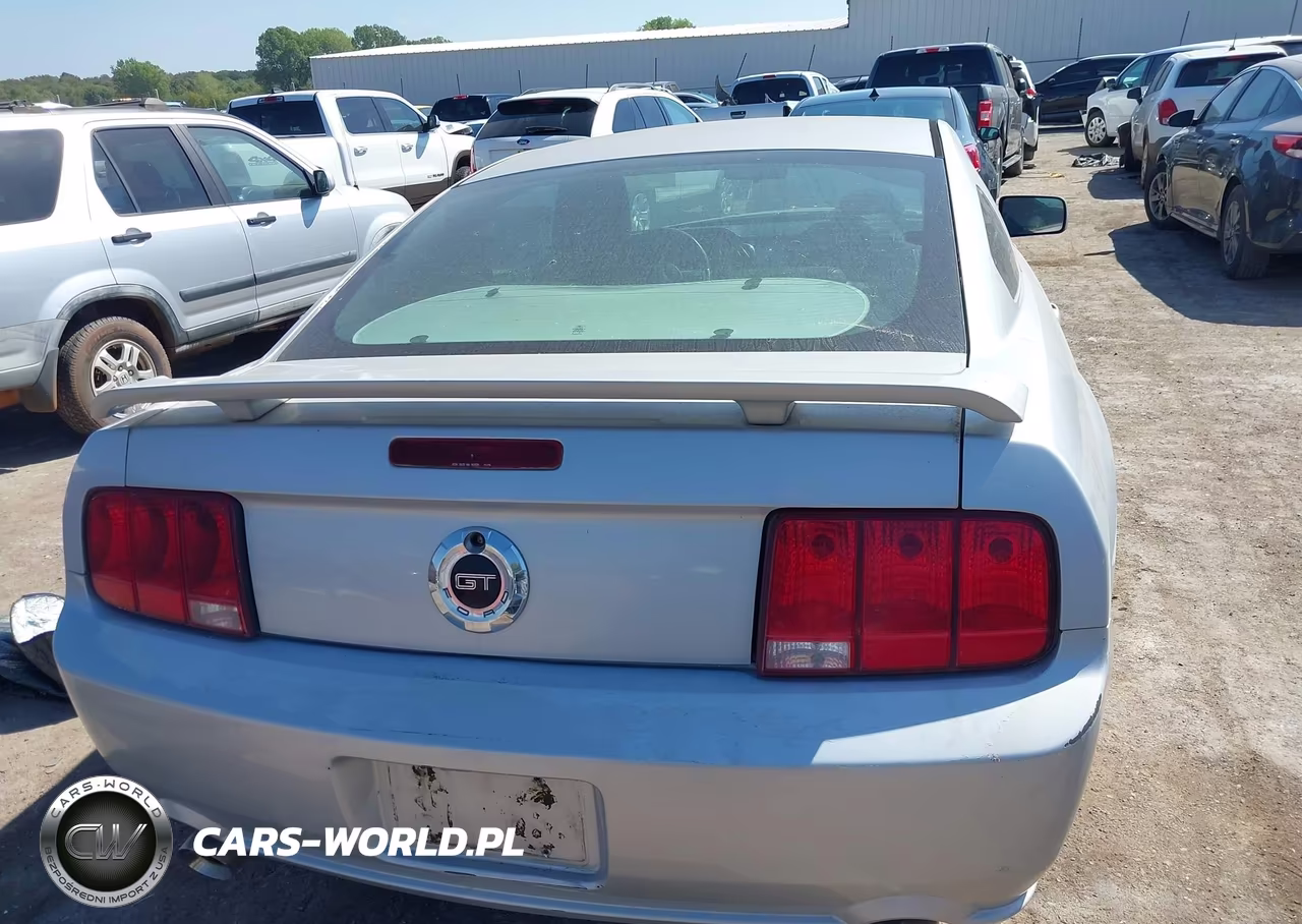2006 Ford Mustang Gt VIN:1ZVHT82H665248595 - 16