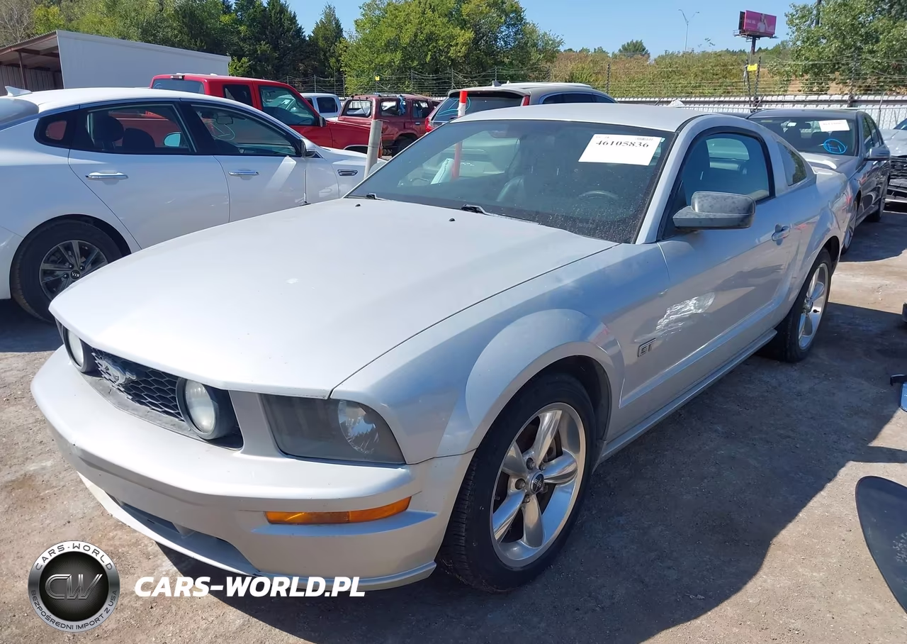2006 Ford Mustang Gt VIN:1ZVHT82H665248595 - 2