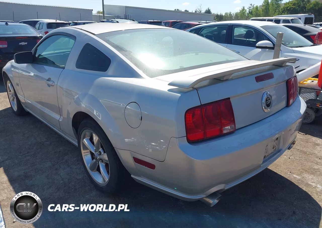 2006 Ford Mustang Gt VIN:1ZVHT82H665248595 - 3