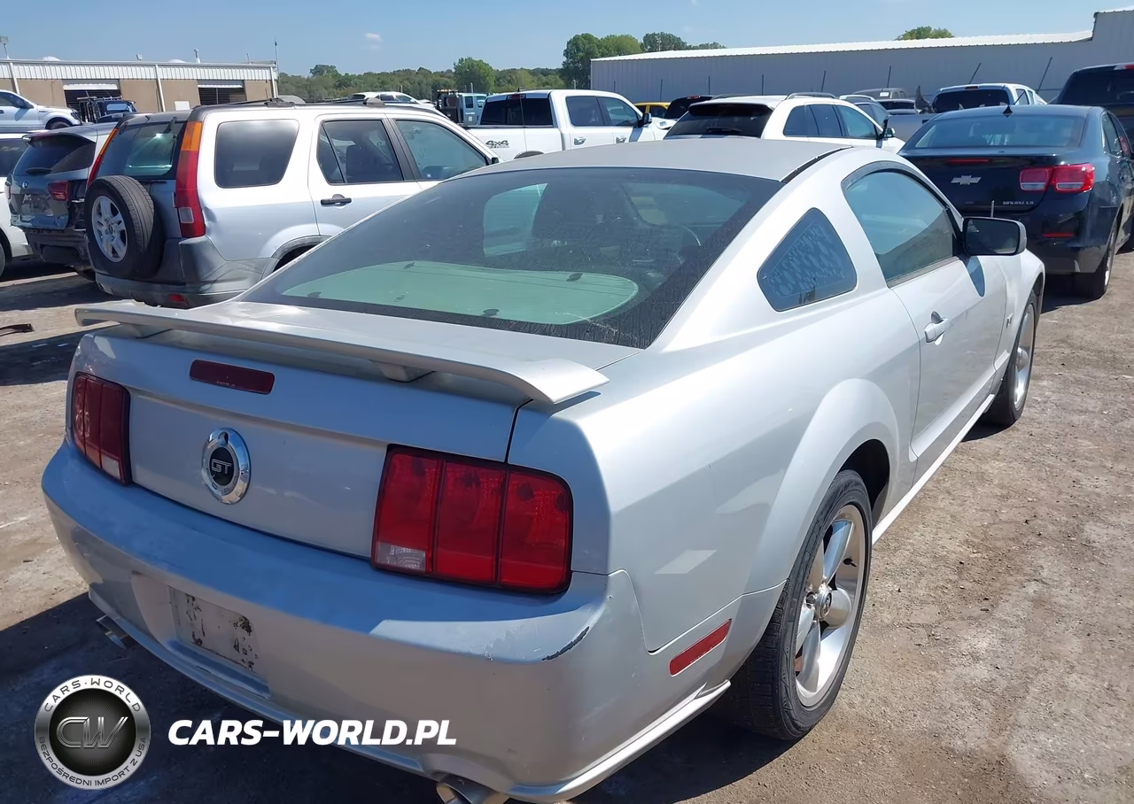 2006 Ford Mustang Gt VIN:1ZVHT82H665248595 - 4