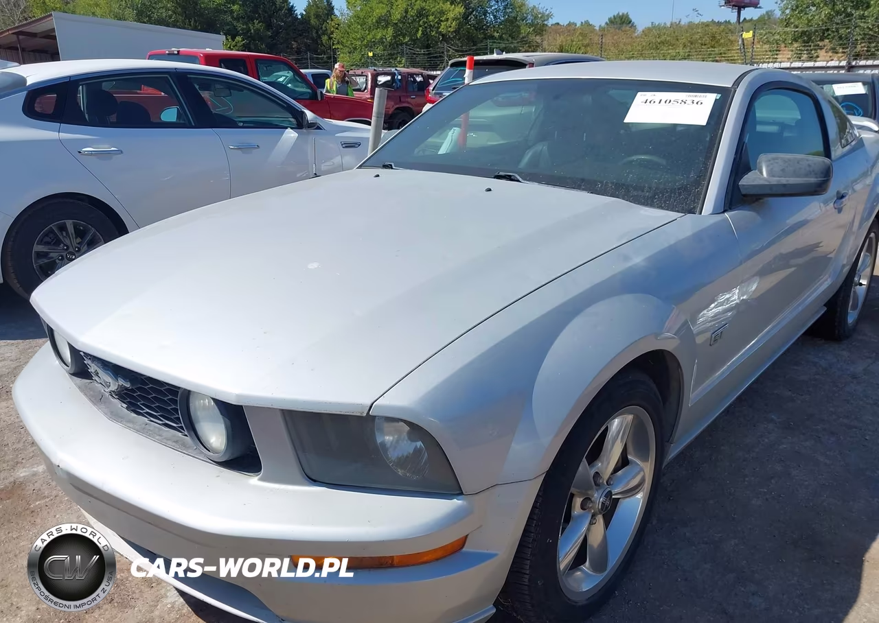 2006 Ford Mustang Gt VIN:1ZVHT82H665248595 - 6