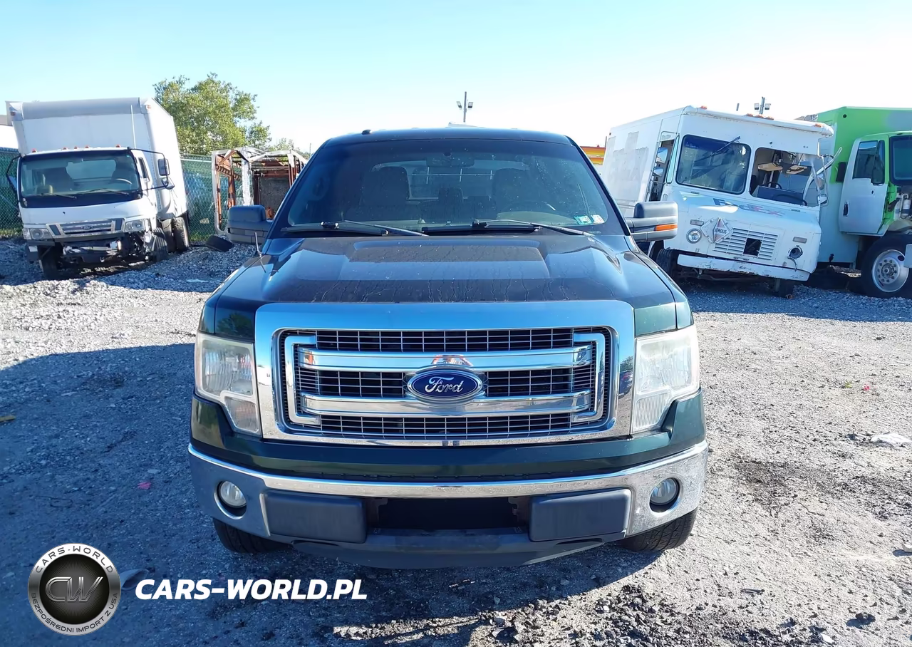 2013 Ford F-150 Xlt VIN:1FTFW1EFXDFA36552 - 12