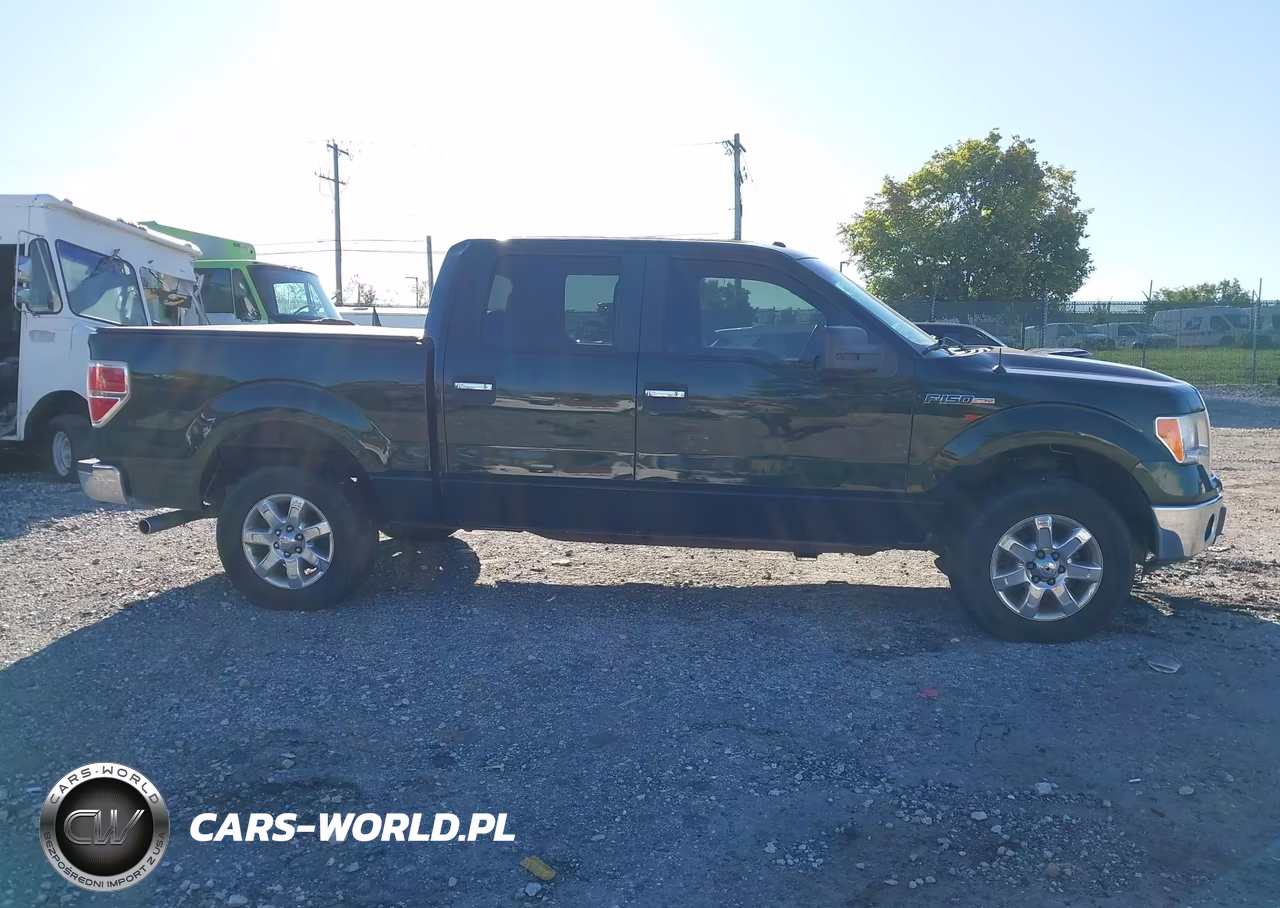 2013 Ford F-150 Xlt VIN:1FTFW1EFXDFA36552 - 13