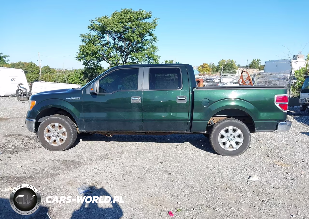 2013 Ford F-150 Xlt VIN:1FTFW1EFXDFA36552 - 14
