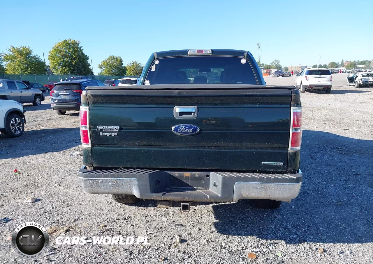 2013 Ford F-150 Xlt VIN:1FTFW1EFXDFA36552 - 16