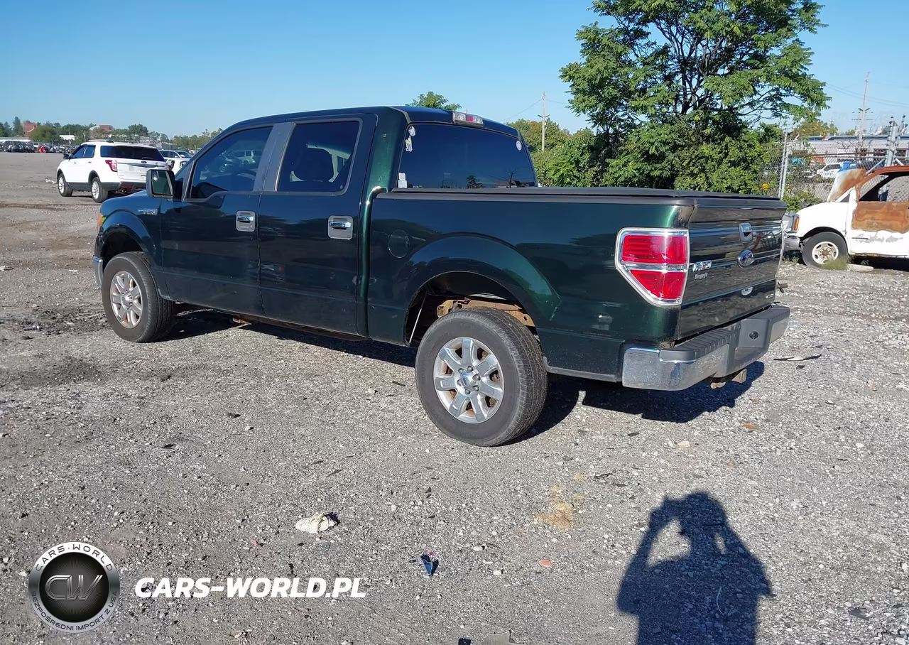 2013 Ford F-150 Xlt VIN:1FTFW1EFXDFA36552 - 3