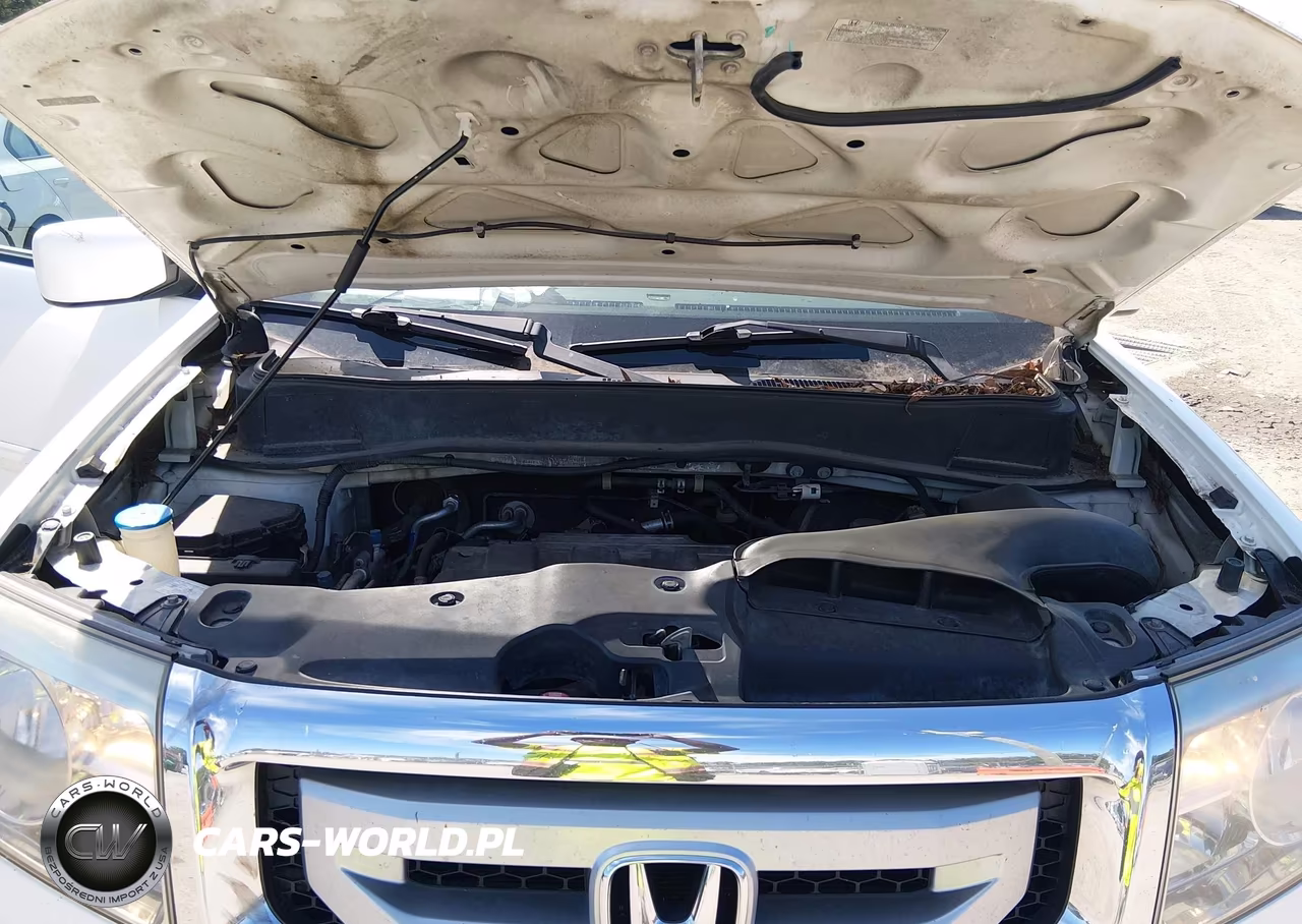 2010 Honda Pilot Ex-L VIN:5FNYF3H57AB003886 - 10