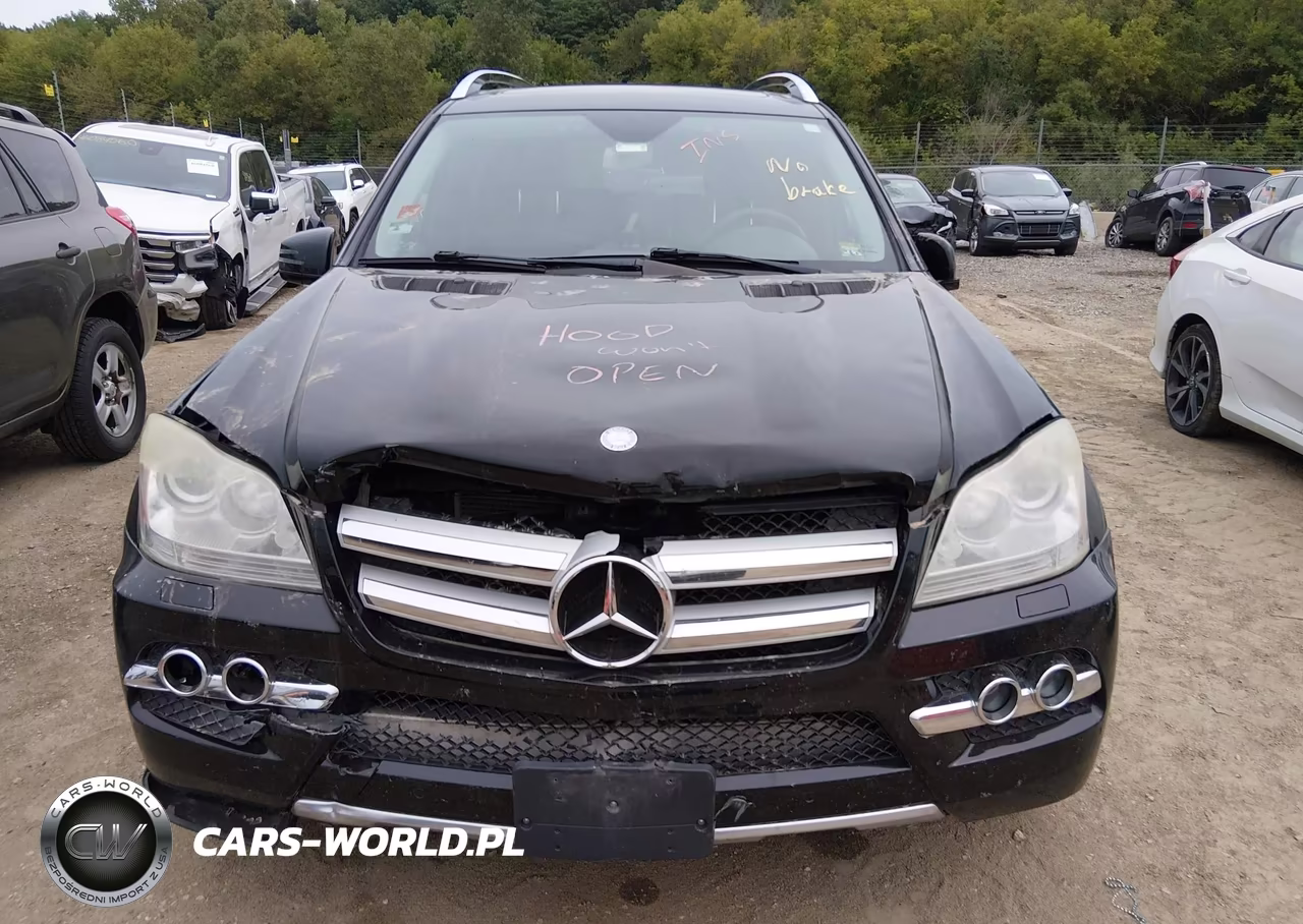 2011 Mercedes-Benz Gl 450 4Matic VIN:4JGBF7BE3BA720961 - 12