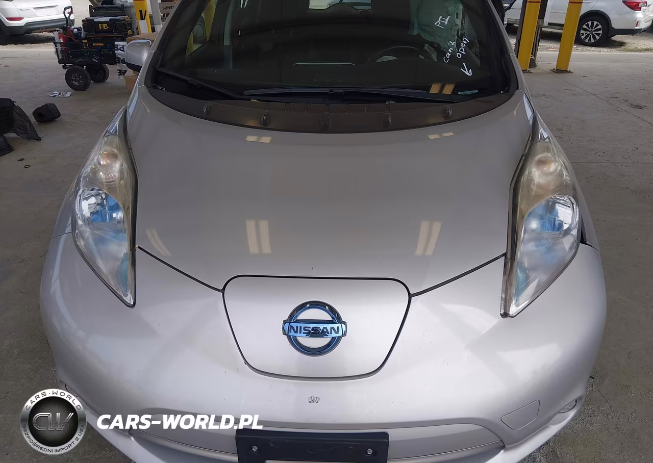 2013 Nissan Leaf S VIN:1N4AZ0CP0DC410424 - 10