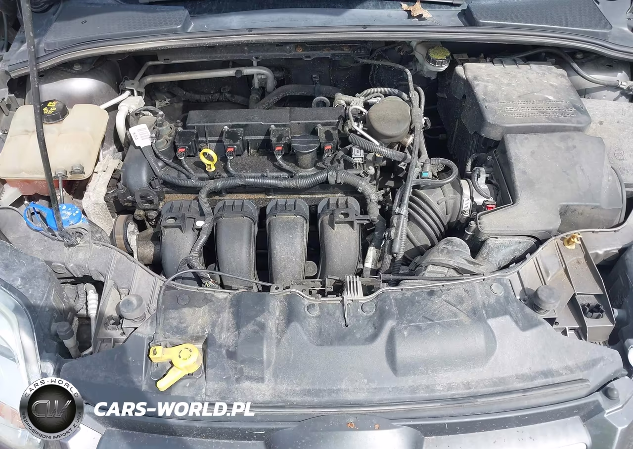 2014 Ford Focus Se VIN:1FADP3F23EL349723 - 10