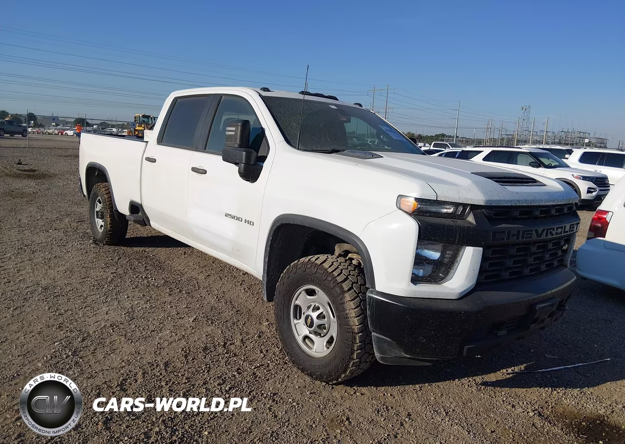 2020 Chevrolet Silverado 2500Hd 2Wd Long Bed Wt VIN:1GC4WLEY2LF316579 - 1