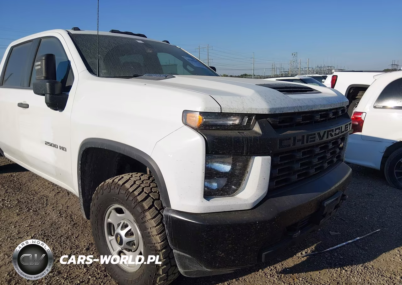 2020 Chevrolet Silverado 2500Hd 2Wd Long Bed Wt VIN:1GC4WLEY2LF316579 - 11