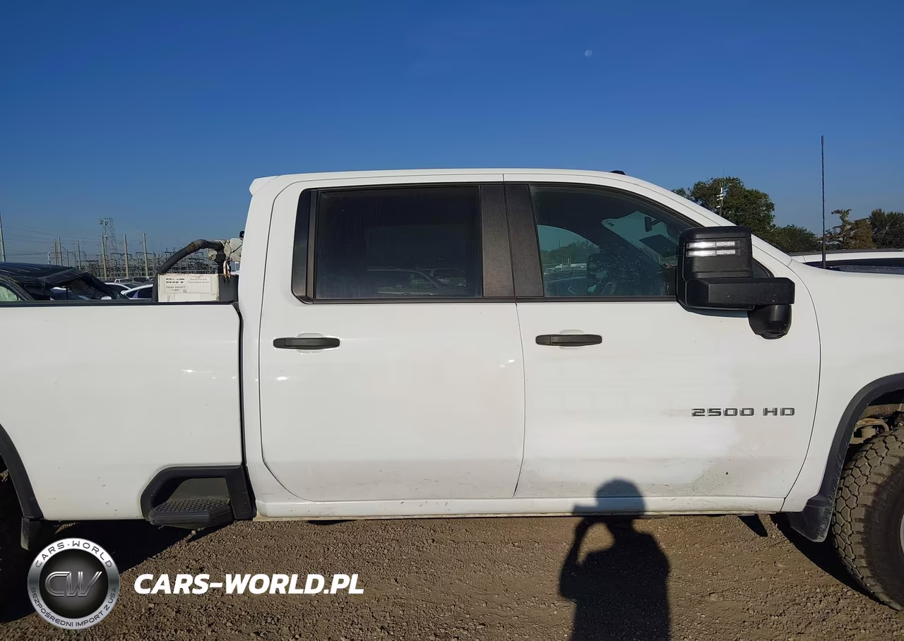 2020 Chevrolet Silverado 2500Hd 2Wd Long Bed Wt VIN:1GC4WLEY2LF316579 - 13