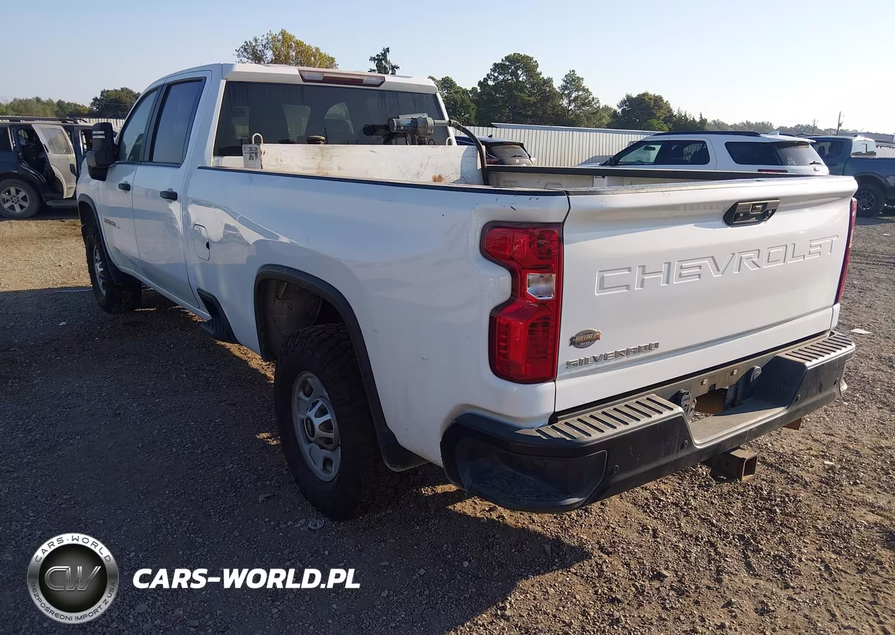 2020 Chevrolet Silverado 2500Hd 2Wd Long Bed Wt VIN:1GC4WLEY2LF316579 - 3