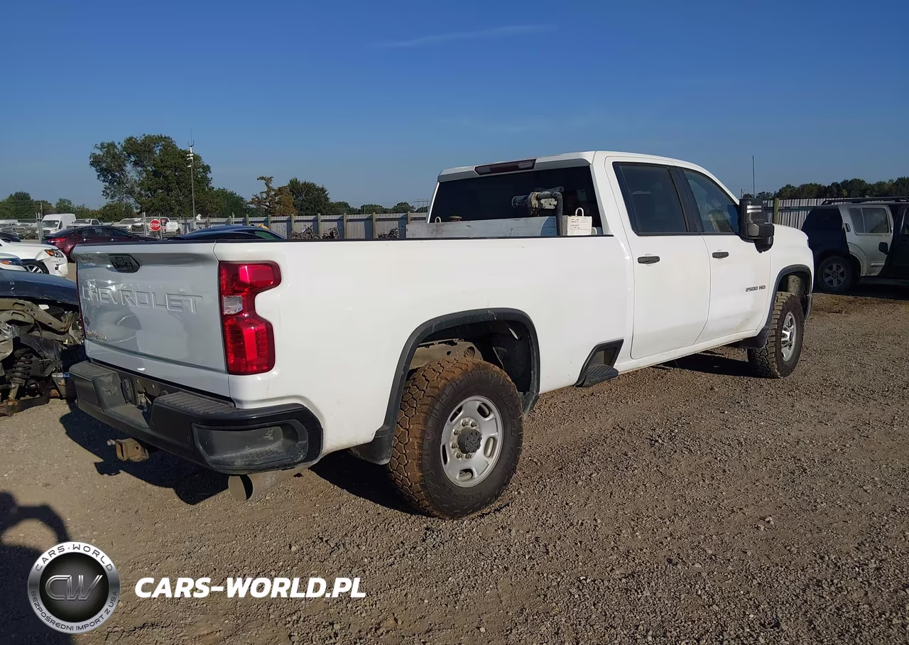 2020 Chevrolet Silverado 2500Hd 2Wd Long Bed Wt VIN:1GC4WLEY2LF316579 - 4