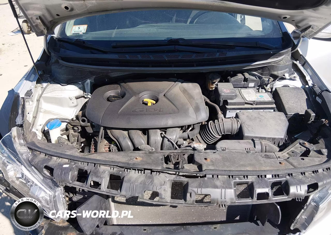2017 Kia Forte Lx VIN:KNAFK5A81H5692934 - 10