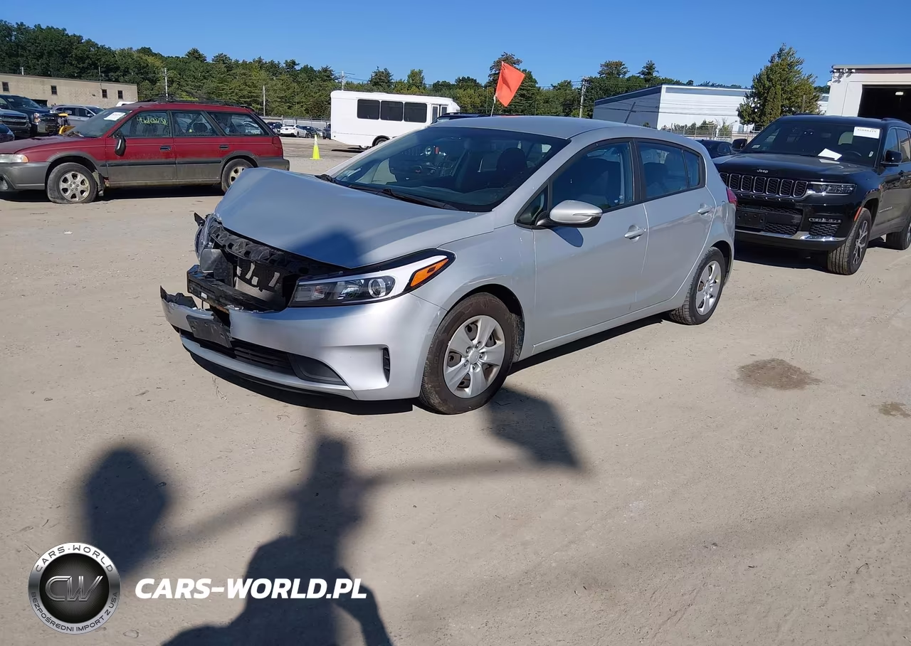 2017 Kia Forte Lx VIN:KNAFK5A81H5692934 - 2