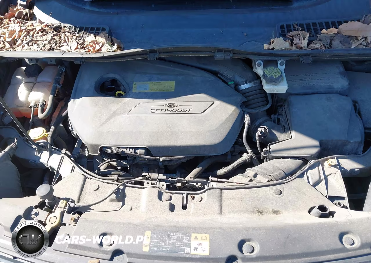 2014 Ford Escape Se VIN:1FMCU0GXXEUA49710 - 10