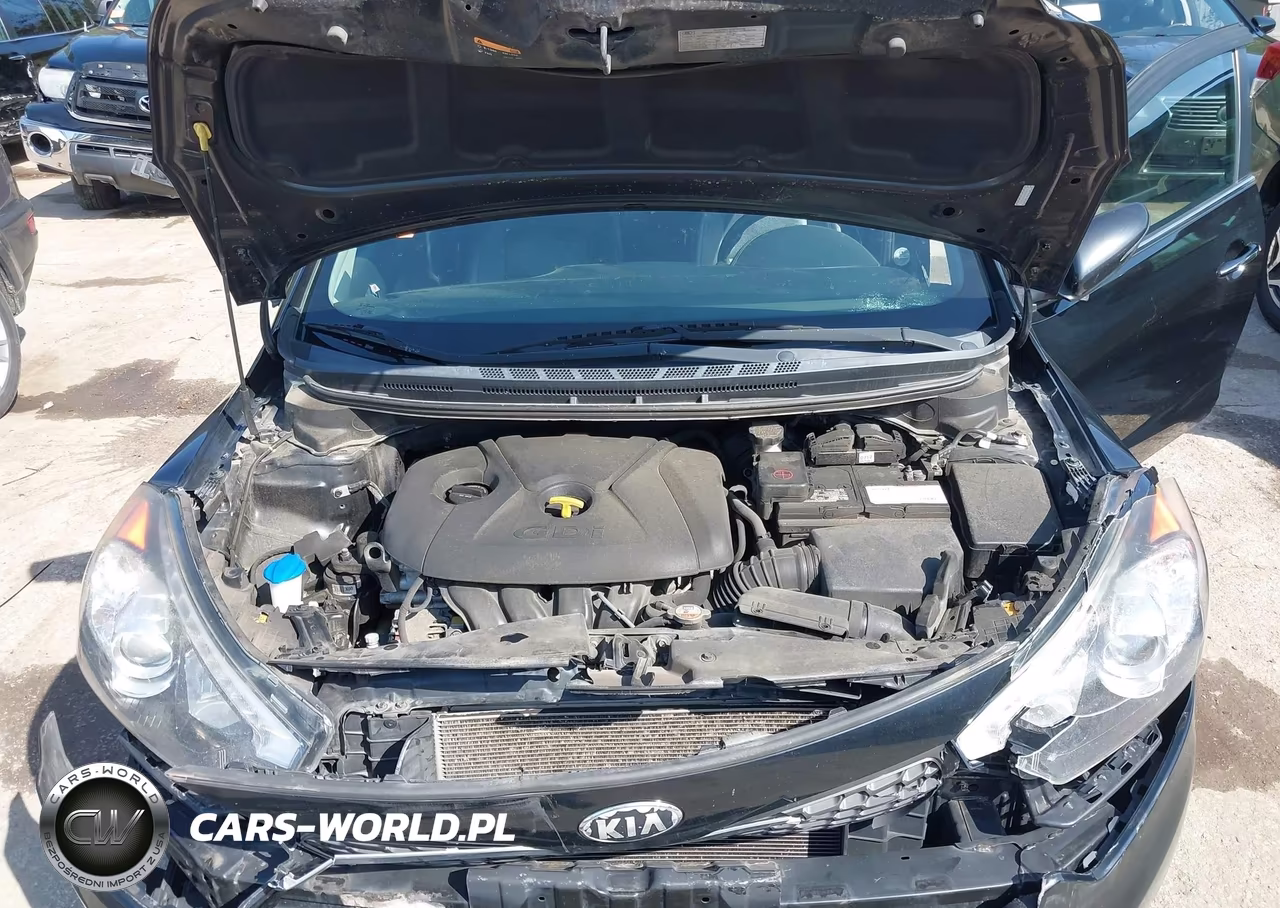 2014 Kia Forte Ex VIN:KNAFZ4A88E5088766 - 10