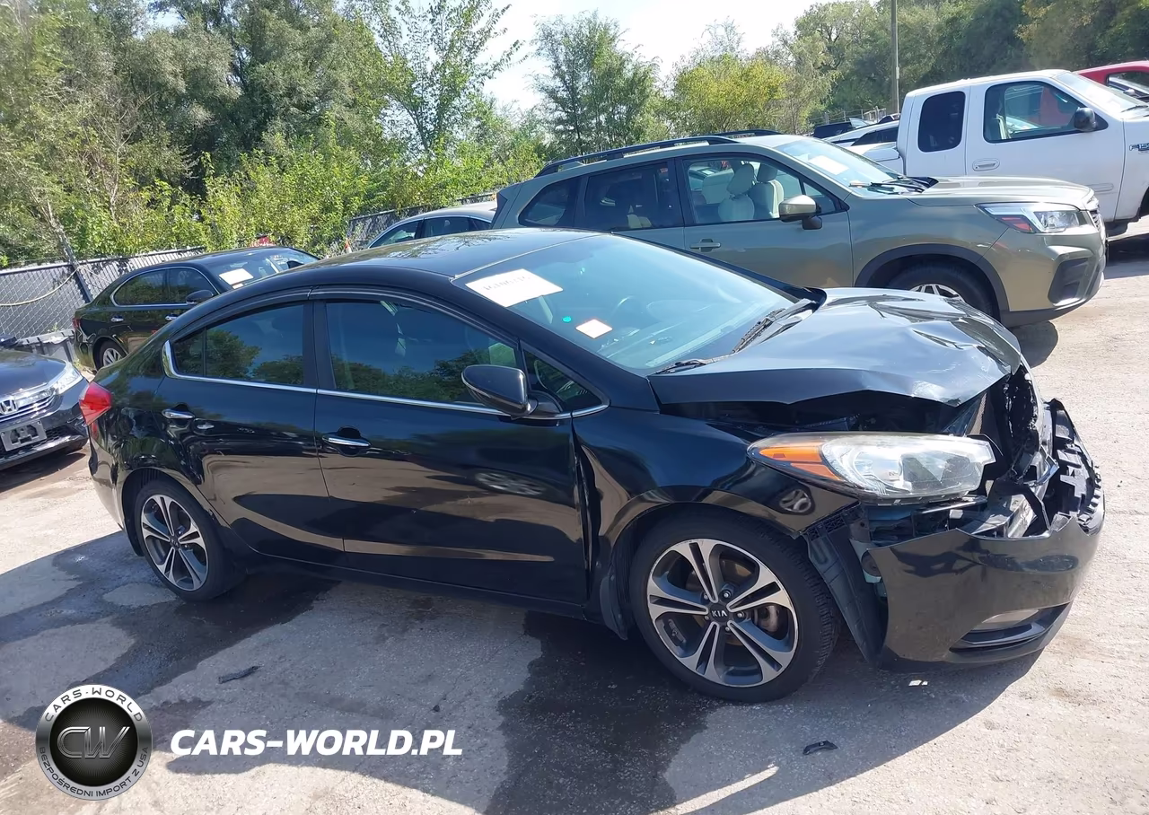 2014 Kia Forte Ex VIN:KNAFZ4A88E5088766 - 13