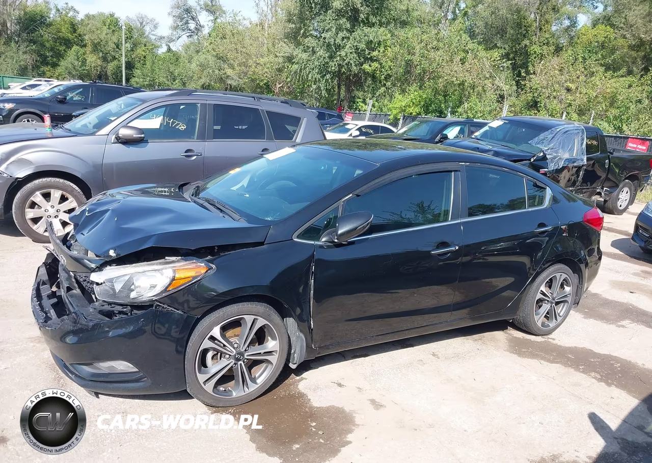 2014 Kia Forte Ex VIN:KNAFZ4A88E5088766 - 14