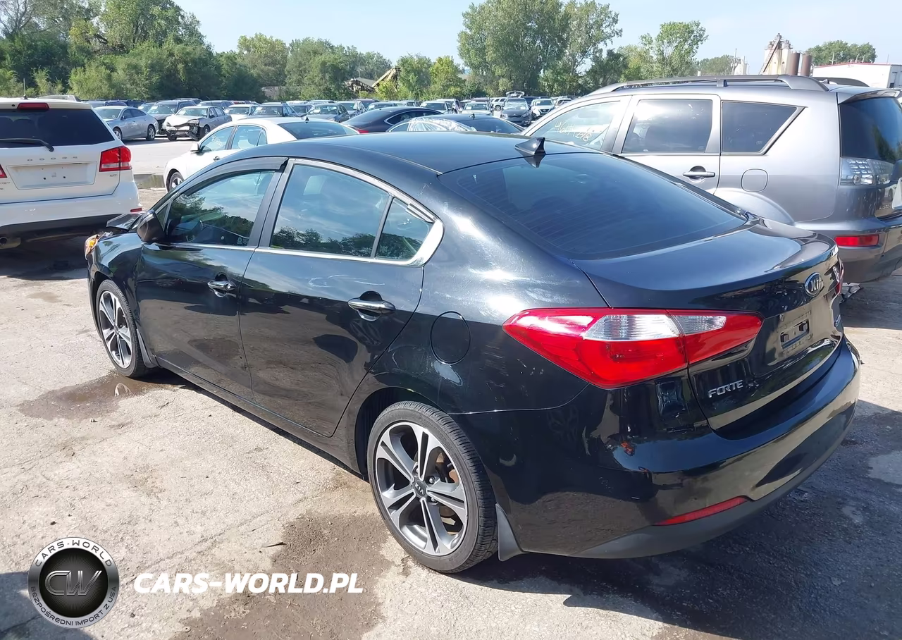2014 Kia Forte Ex VIN:KNAFZ4A88E5088766 - 3