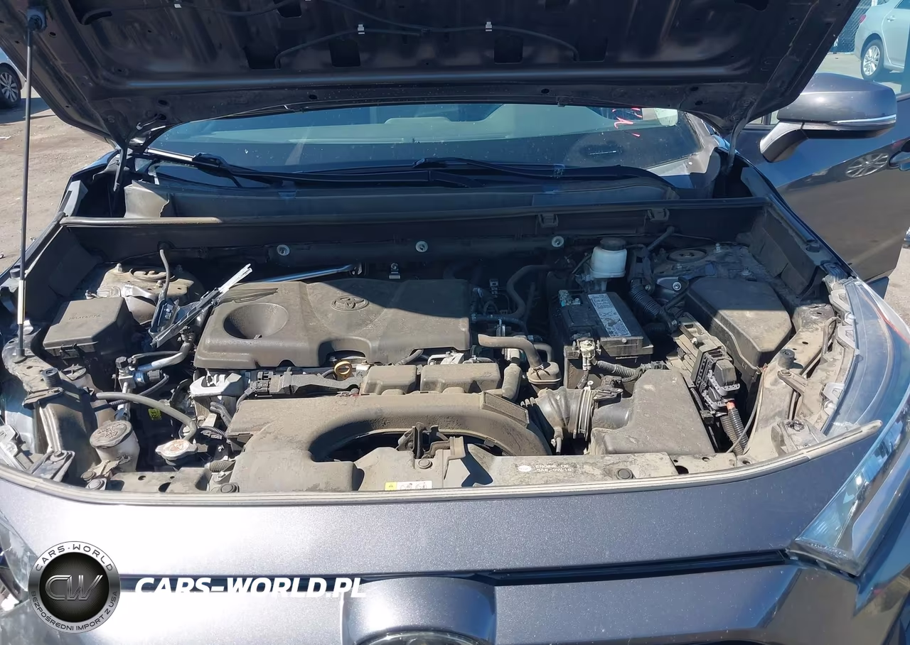2019 Toyota Rav4 Xle VIN:2T3P1RFV7KW025463 - 10