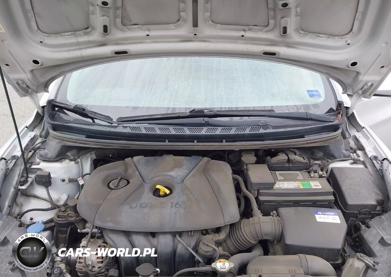 2013 Hyundai Elantra Gls VIN:KMHDH4AE9DU543028 - 10