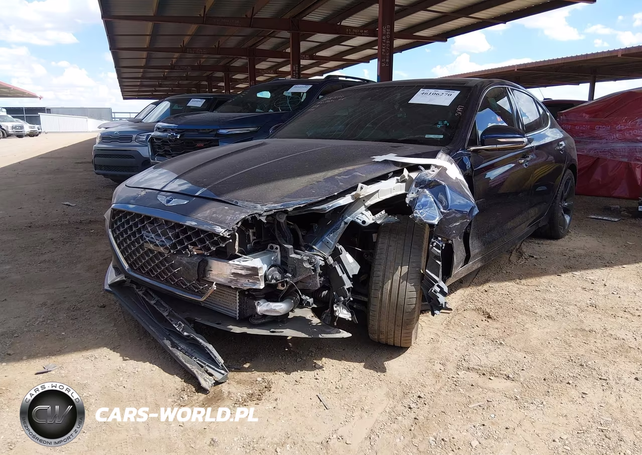 2019 Genesis G70 2.0T Advanced VIN:KMTG44LA6KU027019 - 2