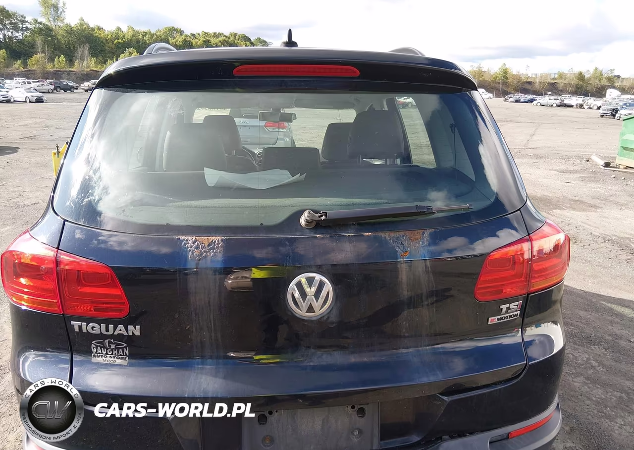 2017 Volkswagen Tiguan 2.0T S VIN:WVGBV7AX9HW501472 - 16