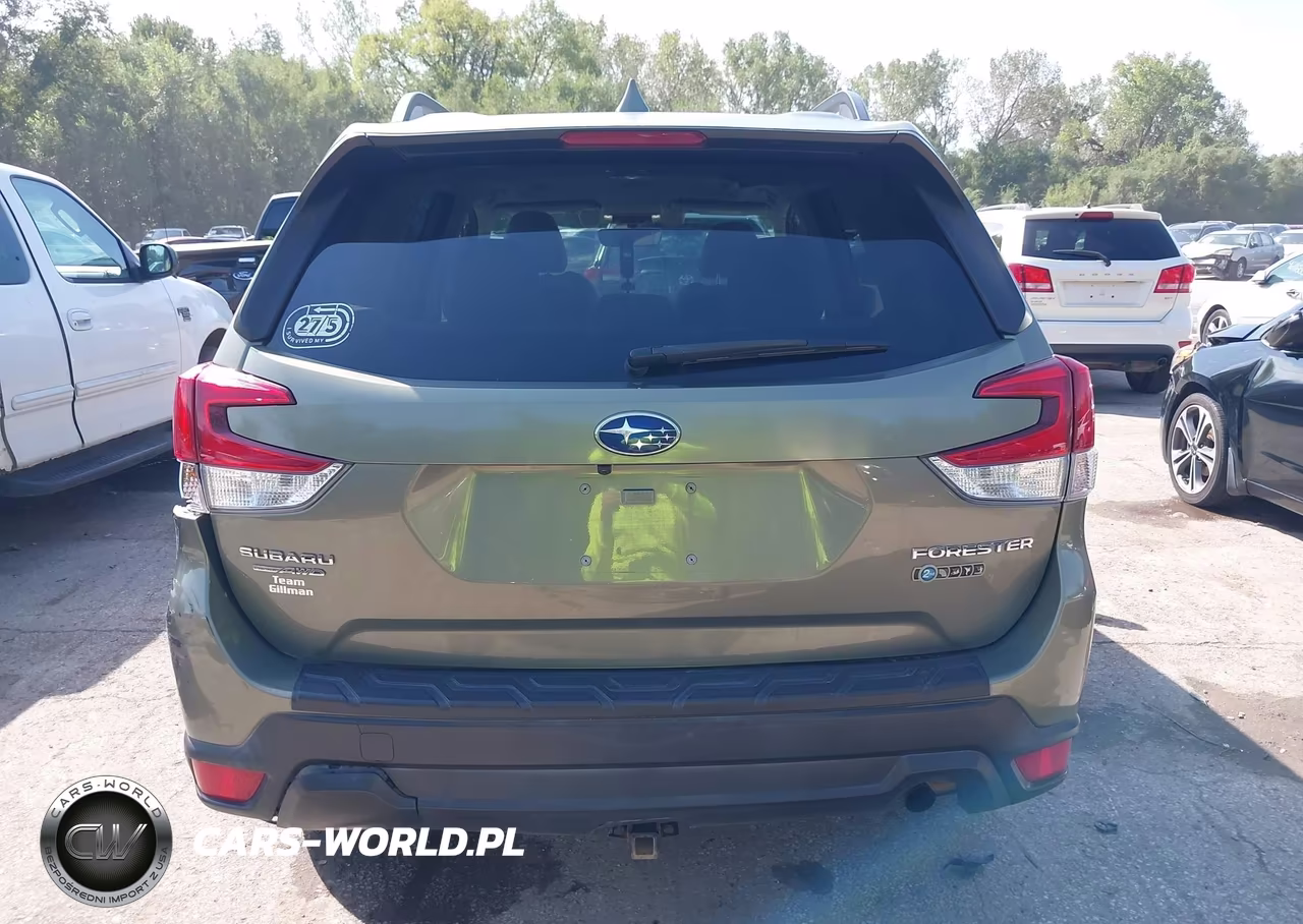 2019 Subaru Forester Premium VIN:JF2SKAGCXKH427720 - 17