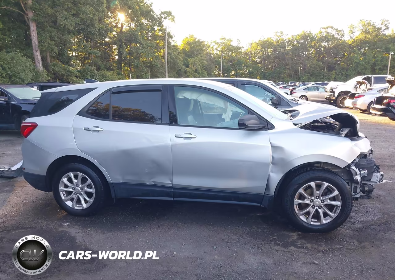 2019 Chevrolet Equinox Ls VIN:3GNAXHEV4KL195360 - 14