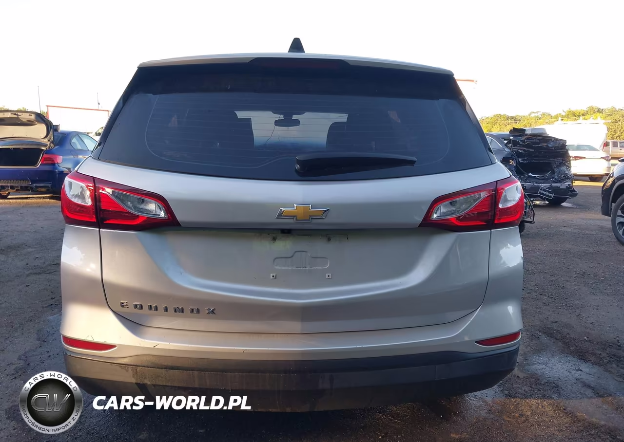 2019 Chevrolet Equinox Ls VIN:3GNAXHEV4KL195360 - 17